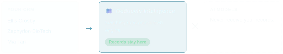 CRM records flowing into Dedupely Intelligence and stopping there, with AI models receiving nothing