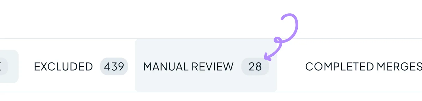 Las pestañas de una Duplicate Search, con 28 conjuntos en Manual Review.