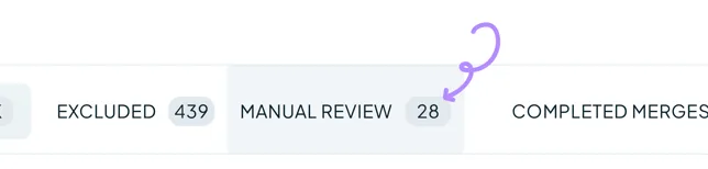 The tab bar under a Duplicate Search, with an arrow pointing at Manual Review and its count of 28.