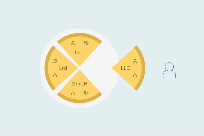 A company pie split into Inc., Ltd., GmbH and LLC slices