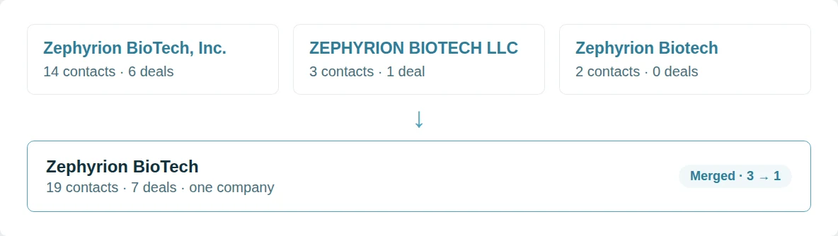 Three duplicate company records with their contact and deal counts, merged into one Zephyrion BioTech with 19 contacts and 7 deals.