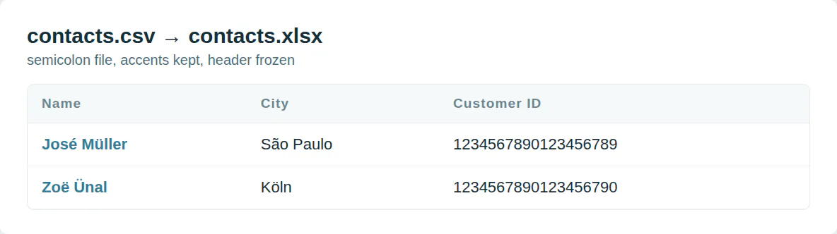 contacts.csv converted to contacts.xlsx from a semicolon file: José Müller in São Paulo and Zoë Ünal in Köln spelled correctly, 19-digit customer IDs kept whole.