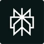Perplexity logo